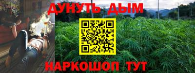 гидра Гай