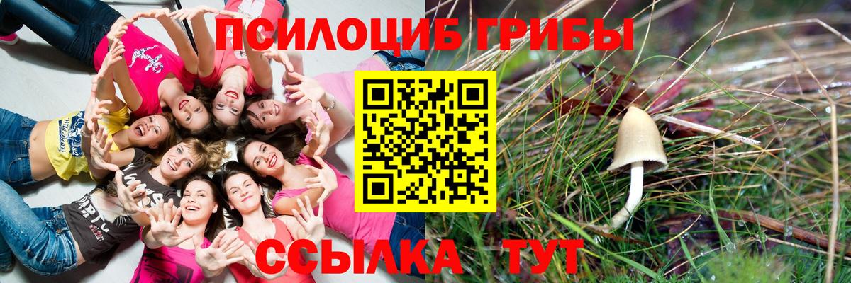 Галлюциногенные грибы Cubensis  Вход с VPN  купить   Псилоцибиновые грибы мицелий  Новосибирск 